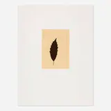 Joseph Beuys, Untitled (from the Columbus: In Search of a New Tomorrow portfolio), 1992, screenprint in colors