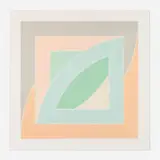 Frank Stella, River of Ponds IV (from the Newfoundland series), 1971, lithograph in colors on Arjomari