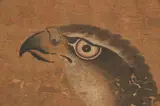 Anonymous, Eagle, Ink and color on paper