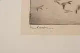 Frank Benson, In the Clouds, Etching