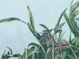 Denise Lisiecki, Untitled, TROUT LILY, screenprint. signed in pencil lower right, 12/33 center, title lower left
