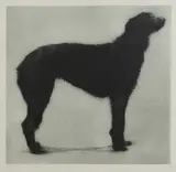 Helen Fay, Untitled, ‘Florence’ etching