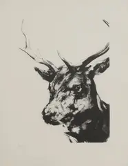 Nicola Hicks, Untitled, 'Stag' etching