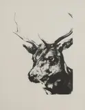 Nicola Hicks, Untitled, 'Stag' etching