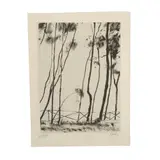 Vicente Gandía, Untitled