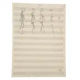Sandra Pani, Untitled, Lápiz sobre papel