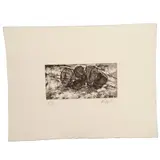 Alejandro Santiago Ramírez, Untitled
