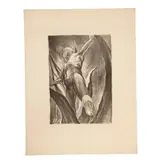 Guillermo Meza Álvarez, Hombre en maguey, 1952, Litografía 26 / 80