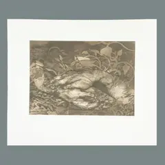 Flor Minor, Estudio de manos II, 2000, Grabado al aguafuerte P.A
