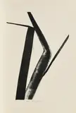 Toko Shinoda, Road
