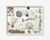Mary Bauermeister, Auktion 401, Los 131, 1967-71, Collage (Offset auf Schoellershammer 4R, Steine) auf Holzplatte, in Objektrahmen. Glasscheibe mit Kieseln, Kugel, Steinen und Linsen beklebt