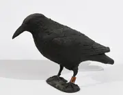 Mark Dion, Galgenvogel, 1999, Kunststoff, mit Bitumen überstrichen