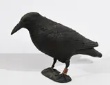 Mark Dion, Galgenvogel, 1999, Kunststoff, mit Bitumen überstrichen