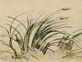 Siegward Sprotte, Ohne Titel (Schilfgras), 1957, Aquarell auf Japan