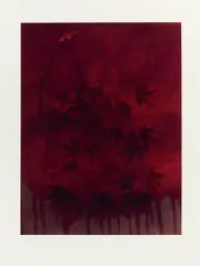 Sarah Moon, L'été Indien, 2010, Pigmentdruck auf C.M.FABRIANO (Wasserzeichen)