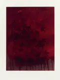 Sarah Moon, L'été Indien