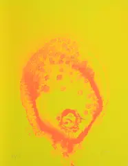 Feuerflora by Otto Piene, 1971, Farbserigrafie auf Karton, sold Mar 2018
