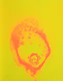 Otto Piene, Feuerflora, 1971, Farbserigrafie auf Karton