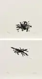 Konvolut von 2 Grafiken (Aus: "Sarajewo") by Günther Uecker, 2005, Jeweils: Lithografie auf festem Velin, sold Sep 2018