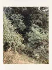 Andreas Gursky, Krefeld, C-Print