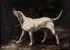 Dog on Scent by American School, Oil on canvas, offered Sep 2013