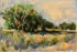 Dave Delafield, Trees, Pond, Oil on board
