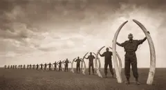 Line of Rangers, Amboseli by Nick Brandt, 2011, Archival pigment print, offered Nov 2024