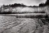 Helmut Newton, Lake Grunewald, Berlin, 1996, Gelatin silver print, mounted