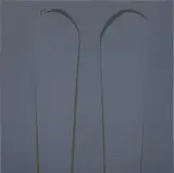 Ian Davenport, Untitled, Dark Grey II