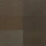 Zhang Zhenyu, Dust 151210, dust on canvas laid on panel