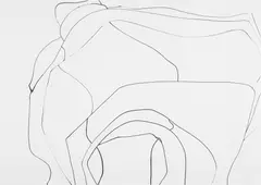 Silvia Bächli, Untitled, 2007, india ink on paper