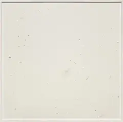 Klaus Mosettig, Pradovit RA 150, 2009, graphite on paper laid down on card, in artist's frame