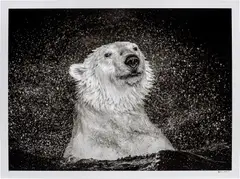 David Yarrow, Open Water, 2020, archival pigment print