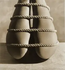 Stephane Graff, Tower, 1991, toned gelatin silver print