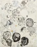 Carter, One hundred and twenty-nine abstract paintings, thirteen portraits, telephony, and three sets of perspective, 2007, acrylic, paper, synthetic hair and gel medium on canvas