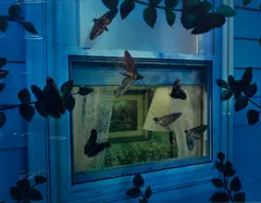 Untitled (window with screen) by Gregory Crewdson, 1994, c-print, offered Nov 2024