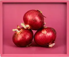 Elad Lassry, Onions, 2012, c-print, in artist's frame