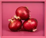 Elad Lassry, Onions, 2012, c-print, in artist's frame