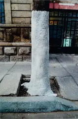 Gabriel Orozco, Gesso Bark, 2010, c-print