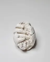 David Altmejd, Untitled (Eggs), 2010, plaster and burlap