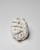 David Altmejd, Untitled (Eggs), 2010, plaster and burlap