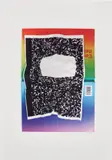 Riccardo Previdi, Wrong Test (l'arte contemporanea italiana nel mondo), 2011, UV print on paper