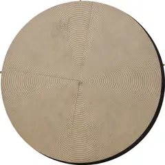 Ned Vena, Untitled (Target 3), 2011, rubber on linen