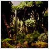 Darren Almond, Fullmoon@Bujuku, 2009, c print mounted on aluminium, in artist's frame