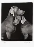 William Wegman, Friends, 2009, archival pigment print on Museo Silver Rag paper