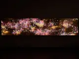 teamLab, Flowers and People - Gold, 2015, interactive digital work, 3 - 8 channels