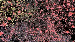 Jennifer Steinkamp, Orbit 3, 2009, video installation