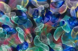 Jiří Georg Dokoupil, AZUL DE JUANA