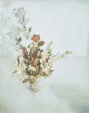 Gillian Carnegie, Fleurs de Huile, 2001, oil on board