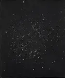 Rashid Johnson, Love in Outer Space 4